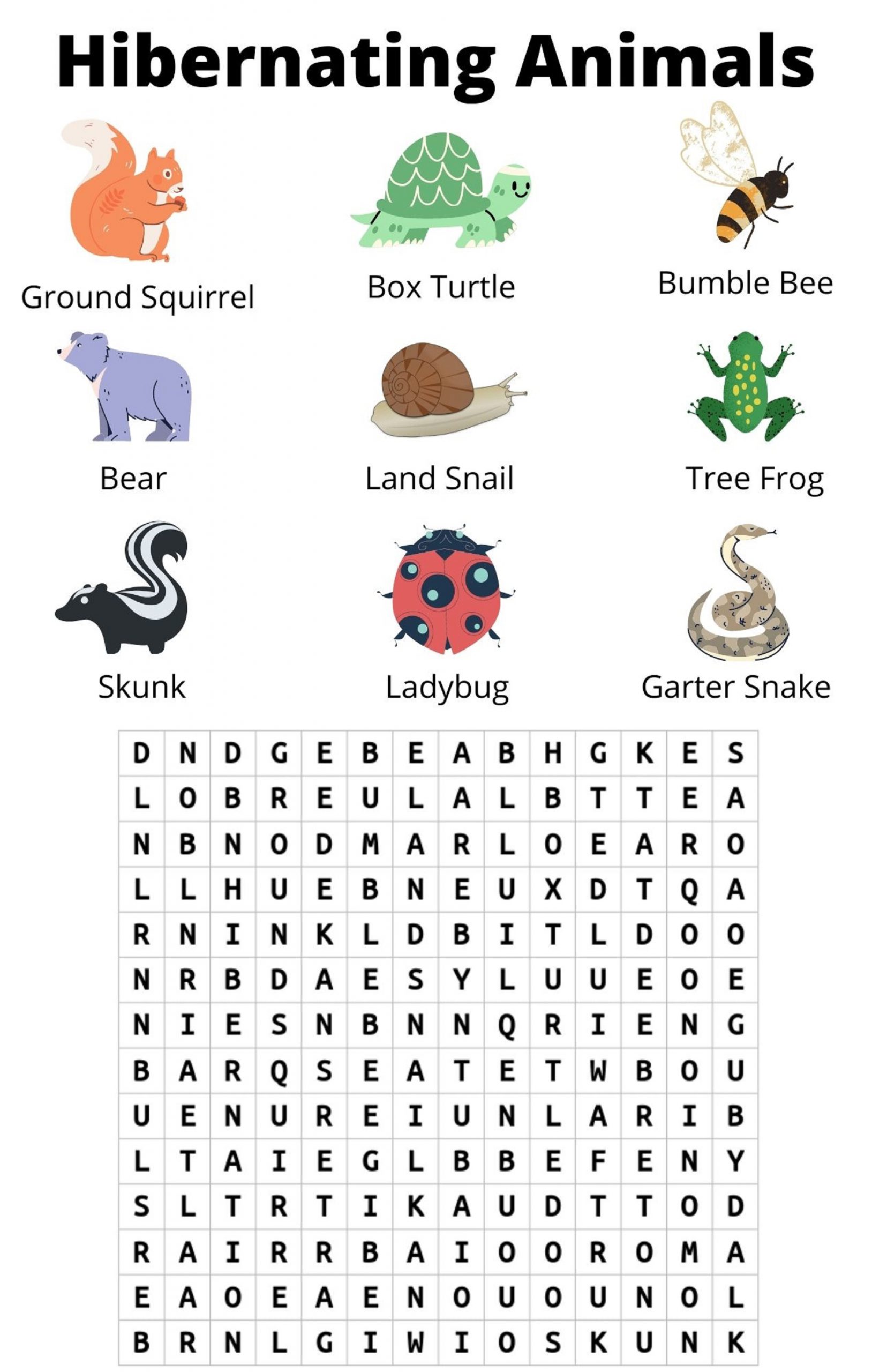 Animal That Hibernate Word Search